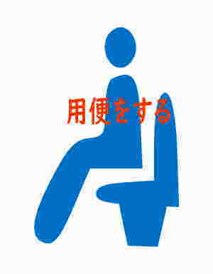 マイレットの災害用トイレで用をしているところ