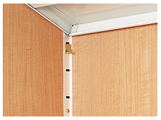 �C�i�o���u�̃i�C�\�[�V�X�^�[�̓���